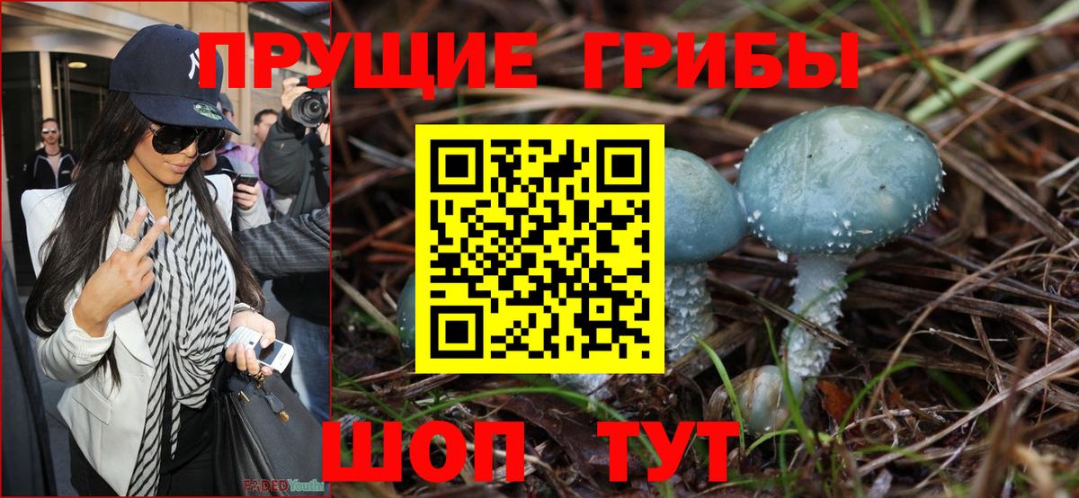 Псилоцибиновые грибы GOLDEN TEACHER Братск