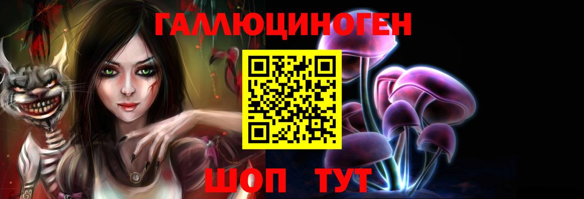 Псилоцибиновые грибы GOLDEN TEACHER  Псилоцибиновые грибы прущие грибы  даркнет сайт  Вход с VPN  Братск 